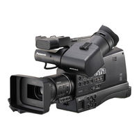 Panasonic AVCCAM AG-HMC80P Instrucciones De Funcionamiento