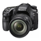 Sony a 77 II