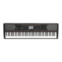 Korg HAVIAN 30 Guía Rápida