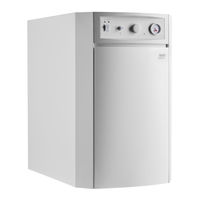 Baxi LIDIA 20 GT EM Manual De Instrucciones