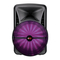 Altavoces Portátiles QFX PBX-BF25 Manual Del Usuario