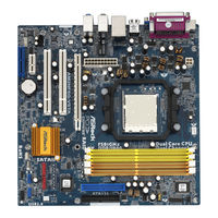 ASROCK AM2NF6G-VSTA Manual Del Usuario