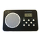 Radio Silvercrest SWED 100 A1 Instrucciones De Uso
