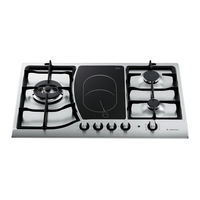 Ariston PH 750 T Manual De Instrucciones