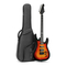 Manual de la guitarra eléctrica Fesley FST400M