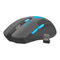 Manual de Fury Stalker