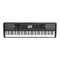 Korg HAVIAN 30