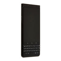 Blackberry BBB100-3 Guía De Usuario