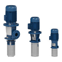 Xylem e-SVI Serie Manual De Instrucciones