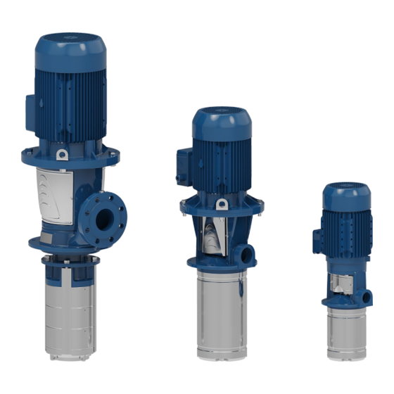 Xylem e-SVI Serie Manual De Instrucciones