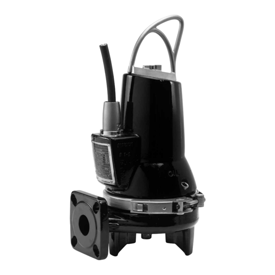 Grundfos SEG Serie Instrucciones De Instalación Y  Operación