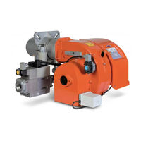 baltur TBG 60 PN Manual De Instrucciones De Uso