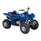 Yamaha Raptor YFM80RV 2005