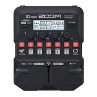 Zoom G1X Manual De Instrucciones