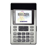 Samsung SGH-P300 Manual Del Usuario