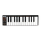 Akai Professional LPK25