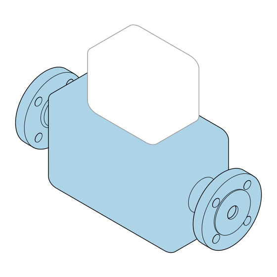 Endress+Hauser Proline Promag H Manual De Instrucciones