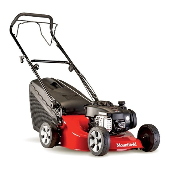GGP ITALY NT 484 Serie Manual De Instrucciones
