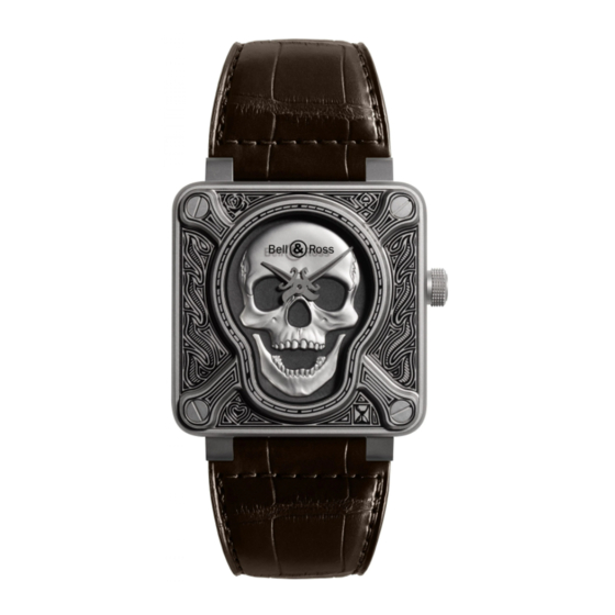 Bell & Ross BR 01 SKULL BRONZE Manuales