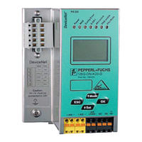 Pepperl+Fuchs VBG-DN-K20-D Instrucciones De Montaje