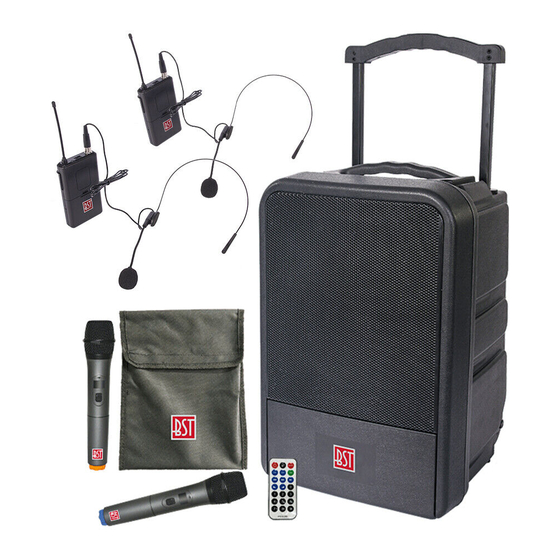 BST IPS10-250 Manual De Instrucciones