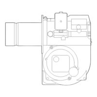 Ecoflam AZUR 60 Manual De Instrucciones