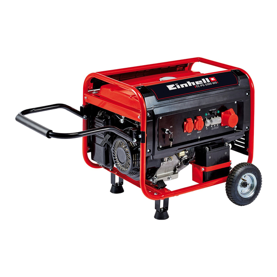 EINHELL TC-PG 5500 WD Manual De Instrucciones
