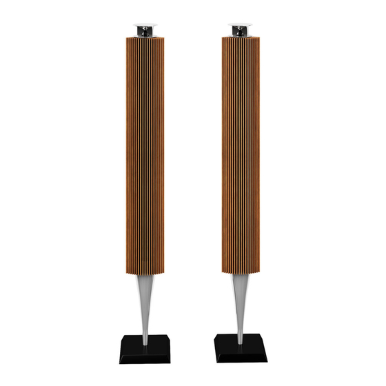 Bang & Olufsen BeoLab 18 Manual De Instrucciones