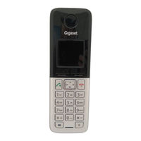 Siemens Gigaset C300 Manual Del Usuario
