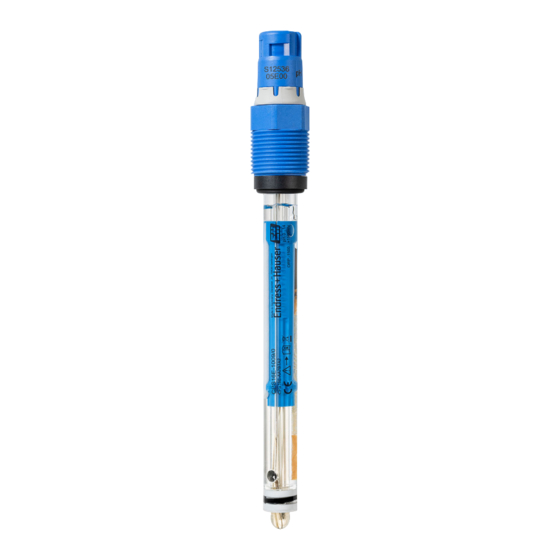 Endress+Hauser CPS16E Manual De Instrucciones