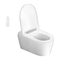 Geberit AQUACLEAN SELA - Guía Rápida del Inodoro