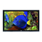 TV Plasma NEC 45XR5 Manual De Funcionamiento