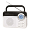 Radio Brigmton BT-251-B-N Manual De Instrucciones