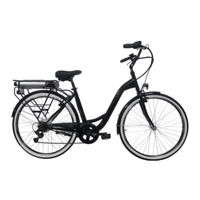 Wayscral EVERYWAY E-100 Manual Del Usuario