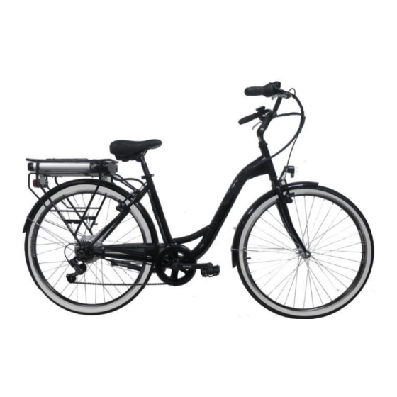 Wayscral EVERYWAY E-100 Manual Del Usuario