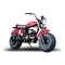 Motocicletas Baja motorsports WR200 Guía De Armado