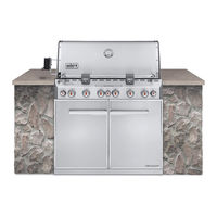 Weber 43268 Guia De Instalacion