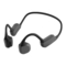 Philips TAA6606 - Manual de los auriculares de la serie 6000
