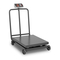 Básculas Steinberg Systems SBS-PF-600/100 Manual De Instrucciones