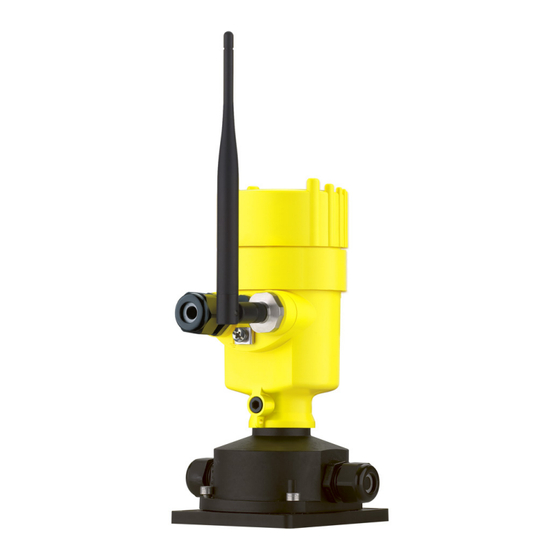 Vega PLICSRADIO T62 Instrucciones De Servicio