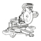 Sierras Evolution R255 SMS Instrucciones Originales