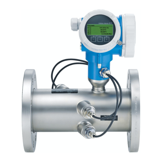 Endress+Hauser Proline Prosonic Flow B 200 Manual De Instrucciones Abreviado