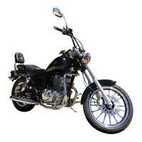 RVM 250-9 Manual Del Usuario