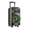 Altavoces Portátiles NGS WILD DUB ZERO Manual De Instrucciones
