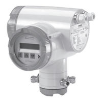 Siemens SITRANS F Instrucciones De Servicio
