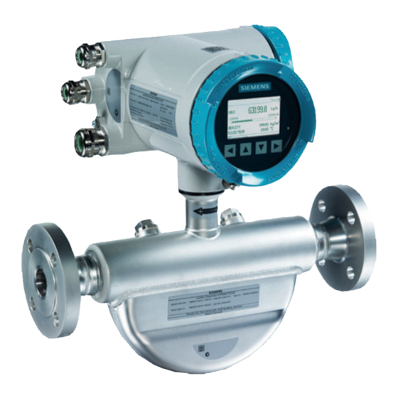 Siemens SITRANS F Instrucciones De Servicio