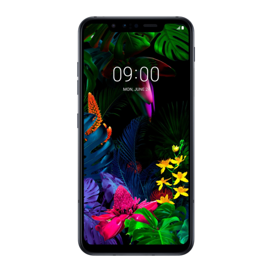 LG LM-G810EAW Guia Del Usuario