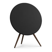 Bang & Olufsen Beoplay A9 Guia Del Usuario