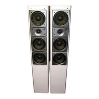 Pioneer S-H509V Guía De Operación