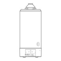 Ariston Thermo GSWH OC FS 200 Low Nox Instrucciones Para El Uso Y La Manutención